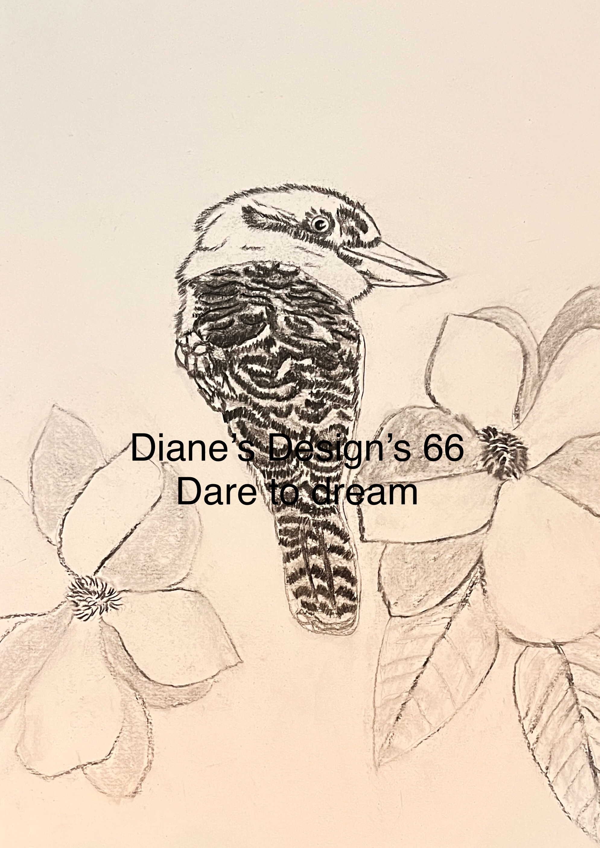 dianesdesigns66.com